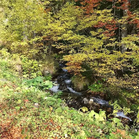 Διαμέρισμα 17 Romantika Chopok Juh