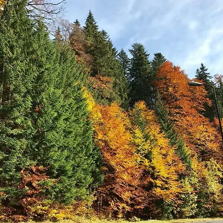 17 Romantika Chopok Juh Apartmán Tale