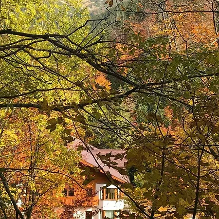 17 Romantika Chopok Juh