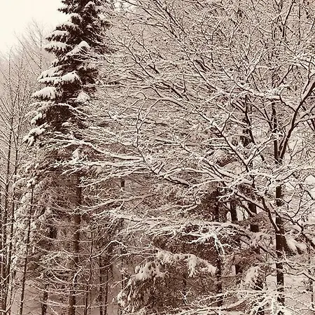 Διαμέρισμα 17 Romantika Chopok Juh Tale